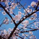 (주)제이렌트카 이미지