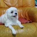 인선농장 이미지