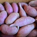 [완판] 당진 호박고구마 호풍미~ 마감 이미지