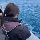 후크선장과 바다낚시 | 제주도 서귀포 배낚시 추천 체험배낚시 광명호 갑오징어 후기