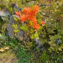 가평핀란드하우스 이미지