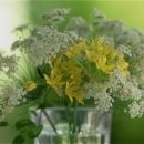 더글라스아이 이미지