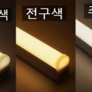 로이조명