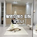 w20. 모드니 촬영드레스 피팅 후기(계약O)