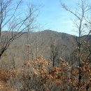 기룡산정상 이미지