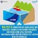 쥐치회 제철에도 먹기 힘들다던데? 그 이유와 가격까지 알아봤습니다..!