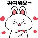 연세 재활 요양원