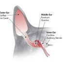 참건강약국 이미지