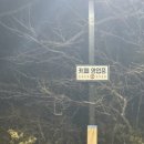 대교블루하우스 | 부산 늦게까지 하는 카페 야경명소 블루뱅 황령산점 내돈내산 후기 가는길 포함