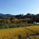 장동초등학교 이미지