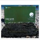 동해특산 이미지