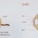 빠리안경 이미지