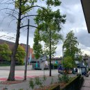 캠퍼스주유소 이미지