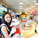 홈플러스 동수원점 수족관 이미지