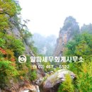 알파세무회계사무소