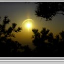 우리신용협동조합 이미지