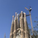 코아 정육점 | [바르셀로나 5편] 사그라다 파밀리아 ㅣ 하몽맛집 Casa Alfonsoㅣ 바코아 버거ㅣ호프만 베이커리