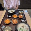 동방 | 이집트 여행 왕복 동방항공 후기 김해 → 푸동 → 카이로