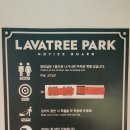 라바트리(LAVATREE) | [방배동카페] '라바트리' 후기