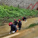 평사1리 이미지