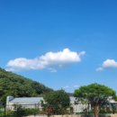 몬스마리 이미지