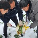 제8회 제주국제실내악페스티벌 이미지