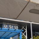 홈플러스 앞 도로 | 비 오는 날 포항시티투어버스 후기
