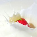 토지시장마트