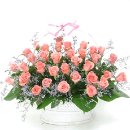 묵동-011 이미지