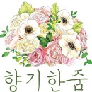 부토니끄 | 인스타그램구입후기/향기한줌