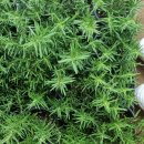 구미대로32길-1 이미지