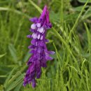 경기둘레길 평택44코스 이미지