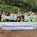 NH농협은행 단양군지부 충청타임즈