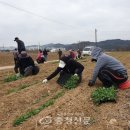 해뜰꽃뜰