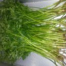 한재농장 이미지