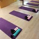 SNPE(바른체형교정운동) 이미지