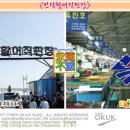 싱싱회 활어