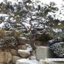 이리남중교회 이미지