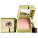 단델리온 이미지