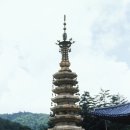 문인화(사군자) 중급 | [중세시대] 고려의 문화 -인쇄,문학,건축 등