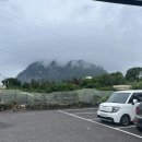 라면하다 | 제주 산방산 맛집 산방이네 해물라면｜물꾸럭라면, 게우볶음밥 솔직 후기