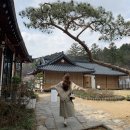 카페오르 이미지