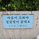 도원초등학교 이미지