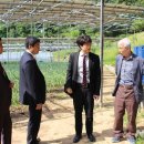 분당태양광발전소 이미지