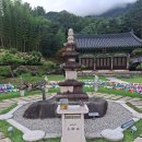 산청 여름 수선사(2026년 8월 17일 월요일) 이미지