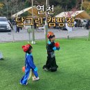 달그린캠프 이미지