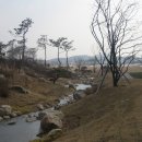 파인스톤컨트리클럽 이미지