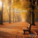 With the fall wind / 이병화 곡 이미지