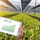 유미농장 이미지