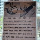 쿄우동